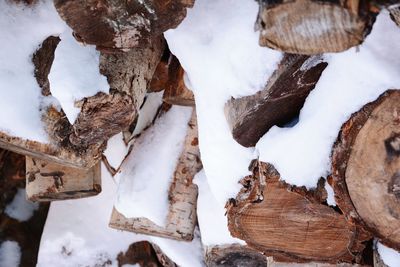Close-up of snow on firewood