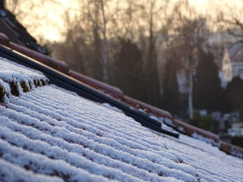 Surface level of wood against blurred background