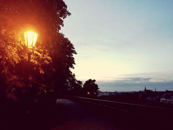 Road along trees at sunset