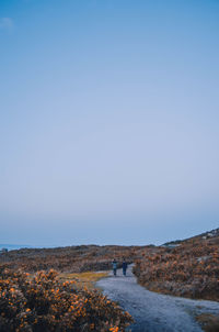 Rear view of men walking on pathway against clear sky