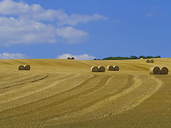 Hay bales on field against sky