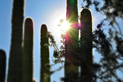 Low angle view of sun shining through clouds