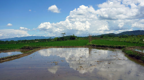 Scenic view of lake against sky