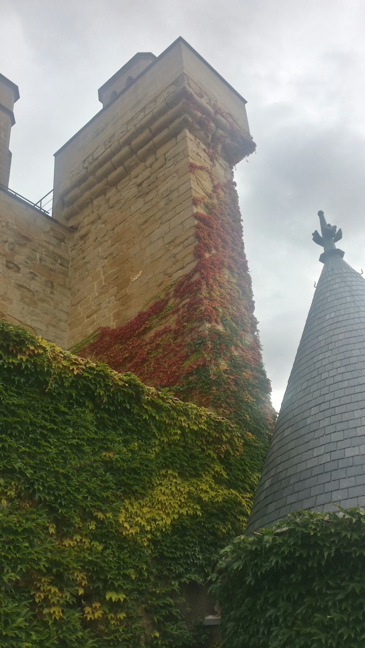 building exterior, architecture, built structure, low angle view, sky, tower, cloud - sky, tall - high, city, cloud, tree, green color, day, building, no people, history, cloudy, outdoors, growth, travel destinations