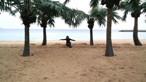 Rear view of men with palm trees on beach