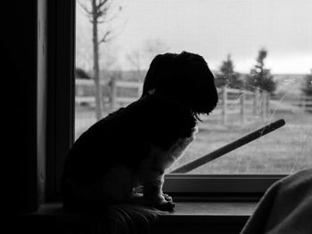 Rear view of woman looking through window