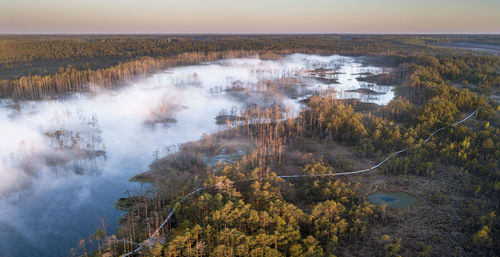 High angle view of trees on landscape against sky