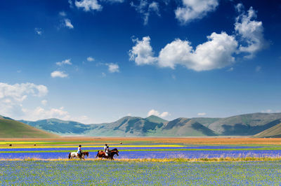 People riding horse on field against sky