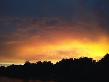Silhouette of trees at sunset