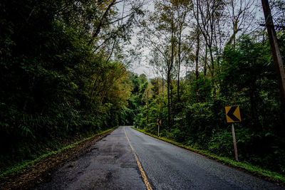 Road amidst trees in forest