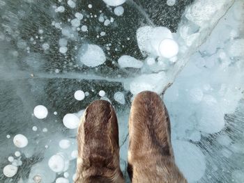 Low section of woman standing on wet ice