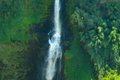 Scenic view of waterfall