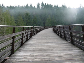 Footbridge in forest against sky