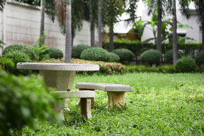 Bench in garden