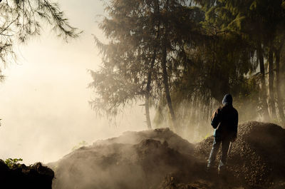 Rear view of man standing by tree in forest