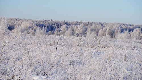 Low angle view of land against clear sky