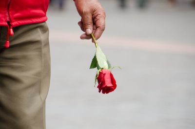 Midsection of man holding red rose while standing on road