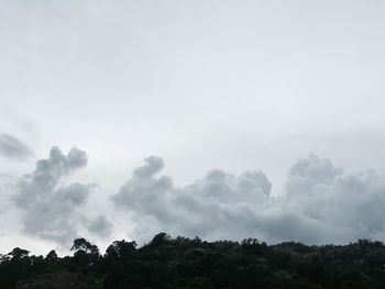 Low angle view of trees against sky