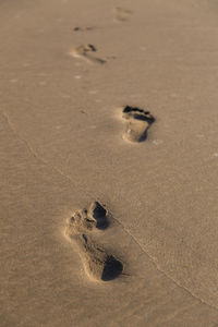 High angle view of footprints on sand at beach