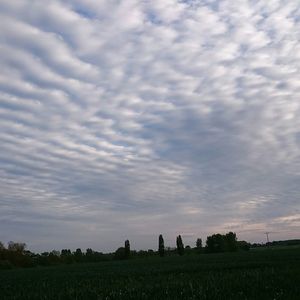 Scenic view of grassy field against cloudy sky