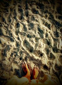 Low section of person on sand at beach