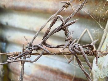 Close-up of barbed wire fence