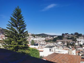 High angle view of trees and buildings against blue sky