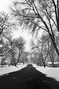 Bare trees on snow covered landscape