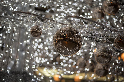 Close-up of christmas decoration on tree