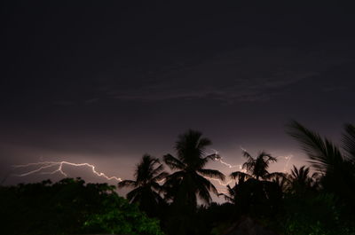 Silhouette palm trees against sky at night