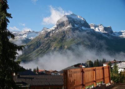 Houses with mountain in background