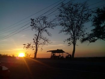 Silhouette of trees at sunset