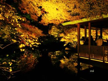 View of illuminated park during autumn