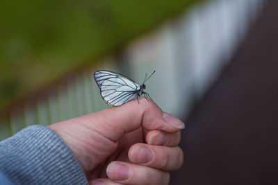 hand