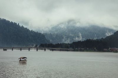 Altay nature water fog lake river forest morning russianature teletsko summer highlands landscape