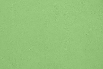 Full frame shot of green wall