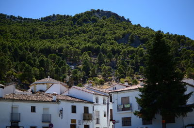 Houses in town against clear sky