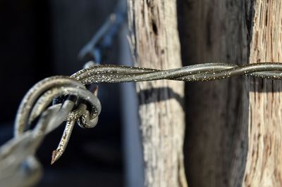 Barbed wire has white dots of paint