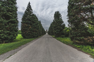 Road amidst trees against sky