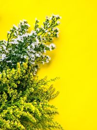 Low angle view of tree against yellow sky