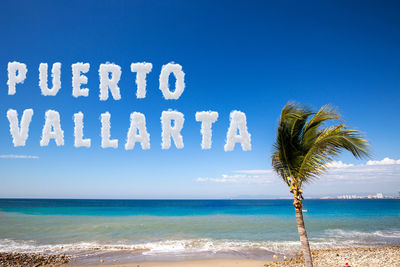 Palm trees on beach against blue sky