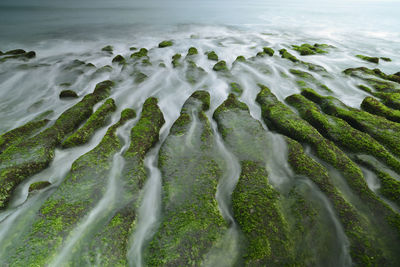 High angle view of rocks in sea