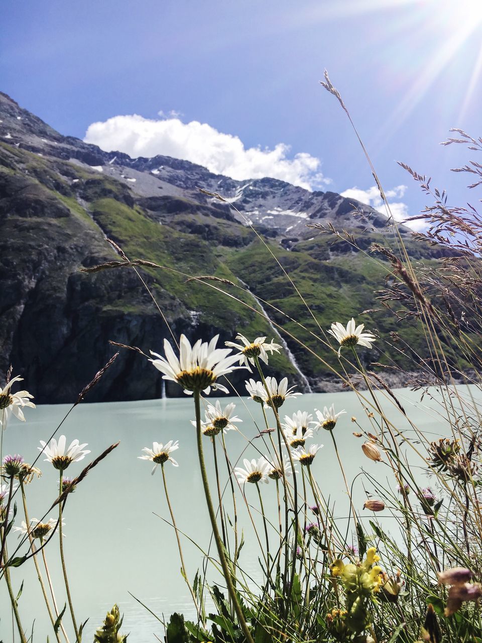 SCENIC VIEW OF A POND