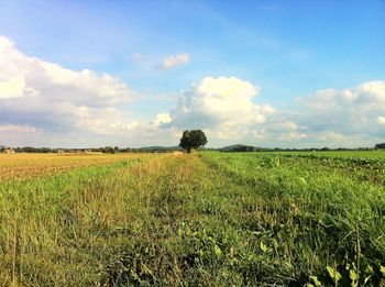 Scenic view of field against cloudy sky