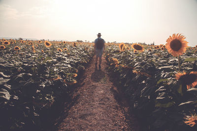 Man standing on field against sky