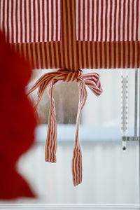 Striped window curtain hanging at home