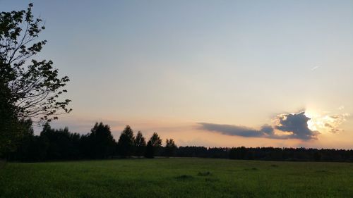 Scenic view of field against sky during sunset