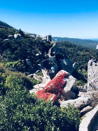 High angle view of trees and rocks against clear sky