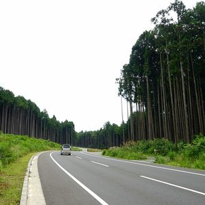Road amidst trees against clear sky