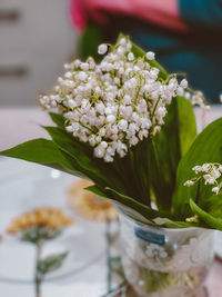 Close-up of white flowering plant in vase